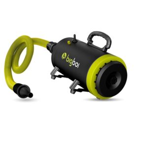 BigBoi BlowR MINI Car Dryer dmuchawa do osuszania karoserii