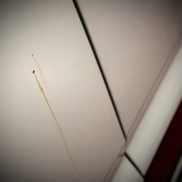 cd62026ce1fa1912154294f9f941df14